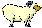 Moving Sheep